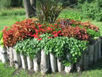 Owens Garden Center Landscaping