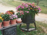 Owens Garden Center Landscaping